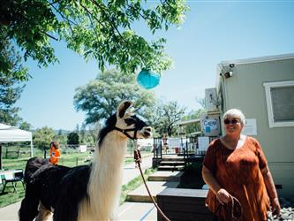 A woman with an llama