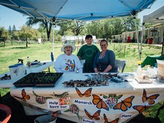 3 students at a display about butterflies