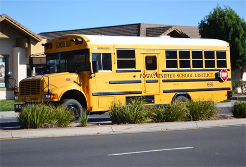picture of a school bus on the road